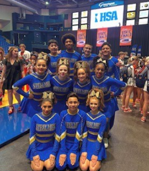 Team at IHSA State